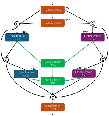 GLNet: global-local feature network for wheat leaf disease image classification